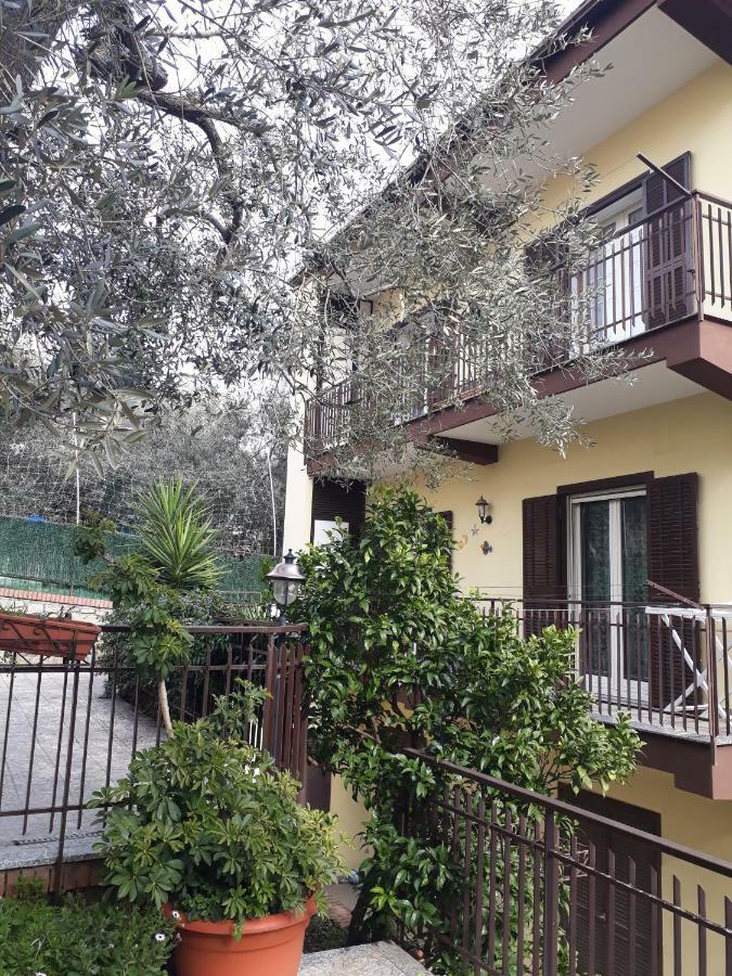 Casa Anna Apartments بيمونت المظهر الخارجي الصورة